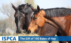 10 Bales of Hay