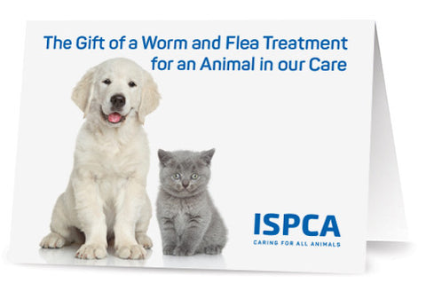Worm & Flea Treatment for Dogs & Cats