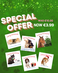 ISPCA Luxury Christmas Cards - 12 Cards (2023 Edition)