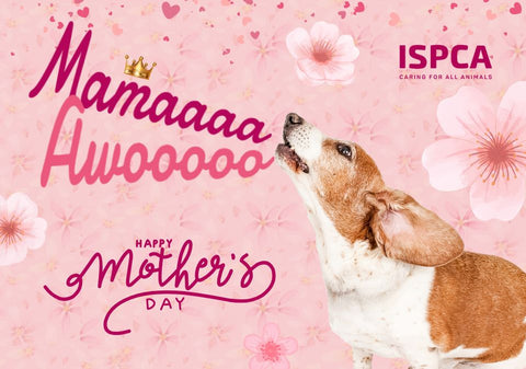 Mama! Ecard Mother's day