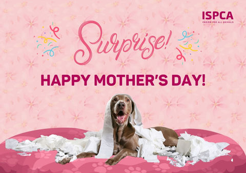 Surprise! Ecard Mother's day