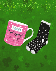 Crazy Cat Lover Gift Set