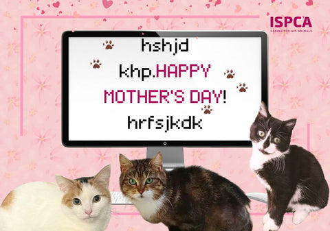 Messy Cats! Ecard Mother's day