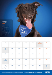 ISPCA 2025 HappyTails Calendar