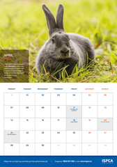 ISPCA 2025 HappyTails Calendar