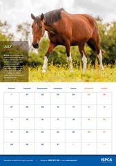 ISPCA 2025 HappyTails Calendar