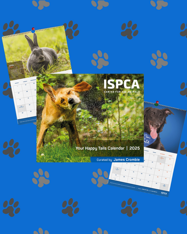 ISPCA 2025 HappyTails Calendar