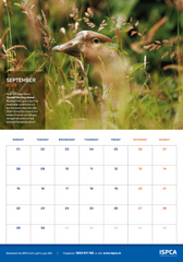 ISPCA 2025 HappyTails Calendar