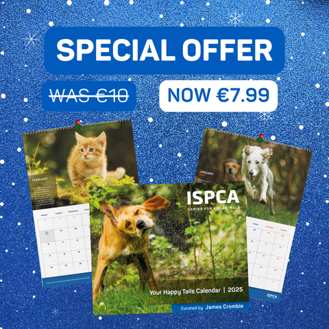 ISPCA 2025 HappyTails Calendar