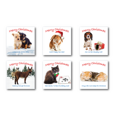 ISPCA Luxury Christmas Cards - 12 Cards (2023 Edition)
