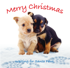 ISPCA Luxury Christmas Cards - 12 Cards (2023 Edition)