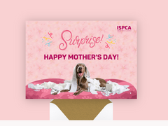 Surprise! Ecard Mother's day