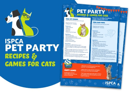 PET PARTY FOR CATS
