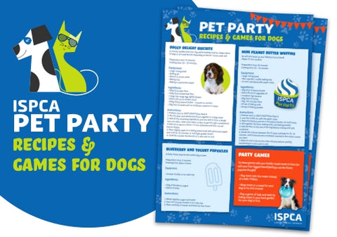 PET PARTY FOR DOGS