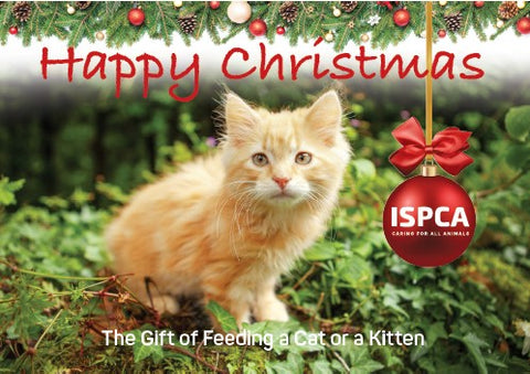 The Gift of Feeding a Cat or a Kitten this Christmas