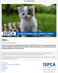 Feed a Cat or Kitten for a Month