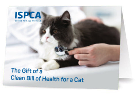 Clean Bill of Health for a Cat