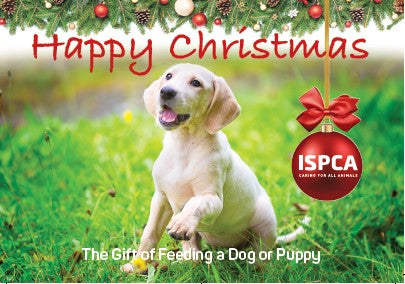 The Gift of Feeding a Dog or Puppy this Christmas