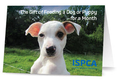 Feed a Dog or a Puppy for a Month