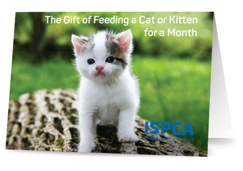 Feed a Cat or Kitten for a Month